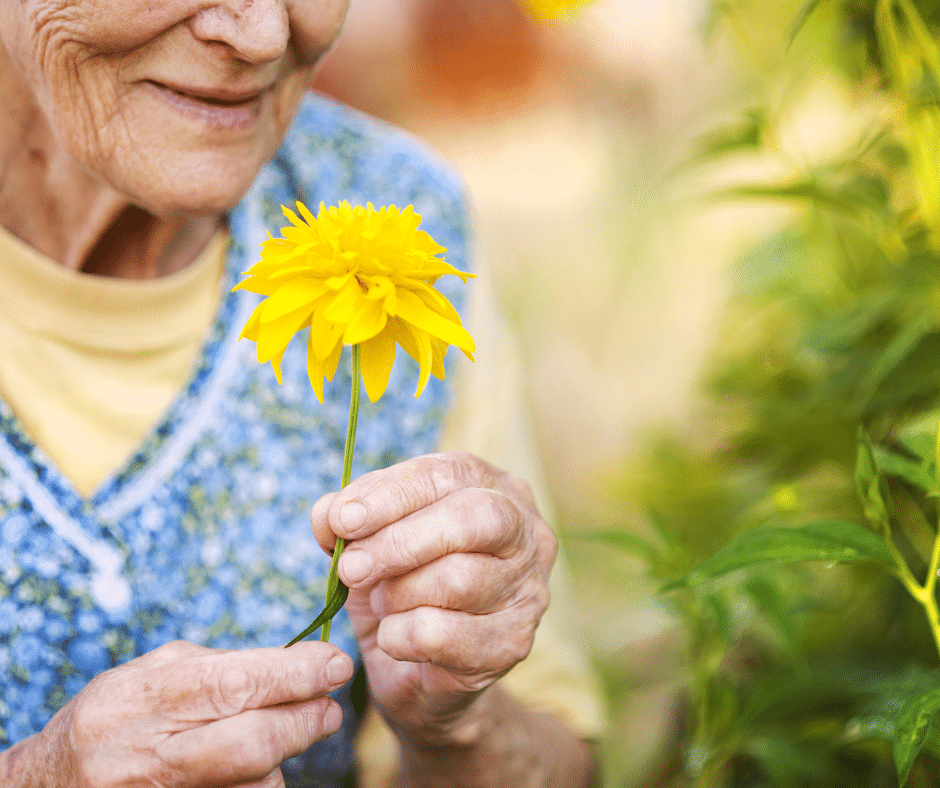 Personal Care at Home in Covington LA